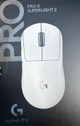 ���� �������. ����