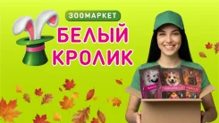 ������������� ����. �� ��������� �.�. ����� ���������� 10� ����