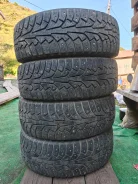 Nordman 5. ������, 2020 ���, �/�, ����� 50 %. �������� ������� ����