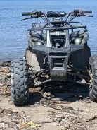 Grizzly 125. ��������, ��� ���\���, �� ����