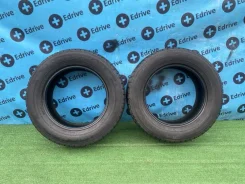 Goodyear Ice Navi Zea II
