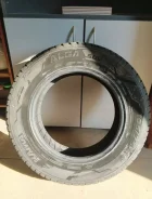 Rosava SnowGard. ������, ����������, 2023 ���, ����� ����