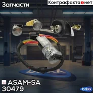 ����� ��������� � ������ � ��������� 30479 ASAM-SA ���. 30479 30479 ����