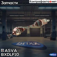 ������ �������� ����� | ����� ��� | ASVA ���. Bxdlf10 BXDLF10 ����