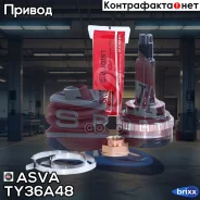 ���� ������� | ����� ����/��� | ASVA ���. TY36A48 TY36A48 ����