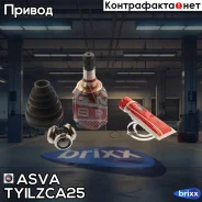 ���� ���������� | ����� ��� | ASVA ���. Tyilzca25 TYILZCA25 ����