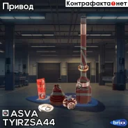 ���� ���������� | ����� ���� | ASVA ���. Tyirzsa44 TYIRZSA44 ����