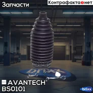 ������� ������� ������� Avantech Avantech ���. BS0101 BS0101 ����