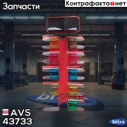 ����� ��������������� ���� (�������) AVS ���. 43733 43733 ����