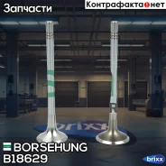 �������� �������� 8+8 Borsehung ���. B18629 B18629 ����