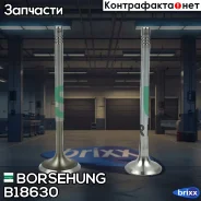 �������� �������� ��������� Borsehung ���. B18630 B18630 ����
