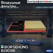 ������ ��������� Borsehung ���. B19096 B19096 ����