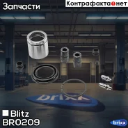 ����������� ���������� �������� VAG Blitz ���. BR0209 BR0209 ����
