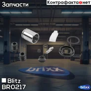 ����������� ���������� �������� VAG/FORD Blitz ���. BR0217 BR0217 ����