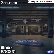 ����������� ���������� �������� BMW/FORD/LADA/Renault/VAG Blitz ���. BR0231 BR0231 ����