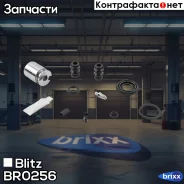 ����������� ���������� �������� FORD/Renault Blitz ���. BR0256 BR0256 ����
