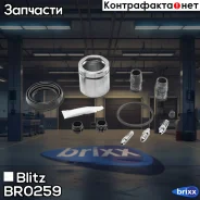 ����������� ���������� �������� BMW/FORD/LADA/Renault/VAG Blitz ���. BR0259 BR0259 ����