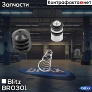 ����������� �������� �������� ��������� Toyota Blitz ���. BR0301 BR0301 ����