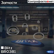 ����������� ���������� �������� FORD/Volvo/VAG Blitz ���. BR0381 BR0381 ����