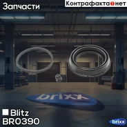 ����������� ���������� �������� BMW/FIAT/FORD/Renault/VAG Blitz ���. BR0390 BR0390 ����