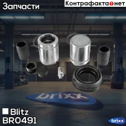 ����������� ���������� �������� (� �������) Mercedes/Volvo/VW Blitz ���. BR0491 BR0491 ����