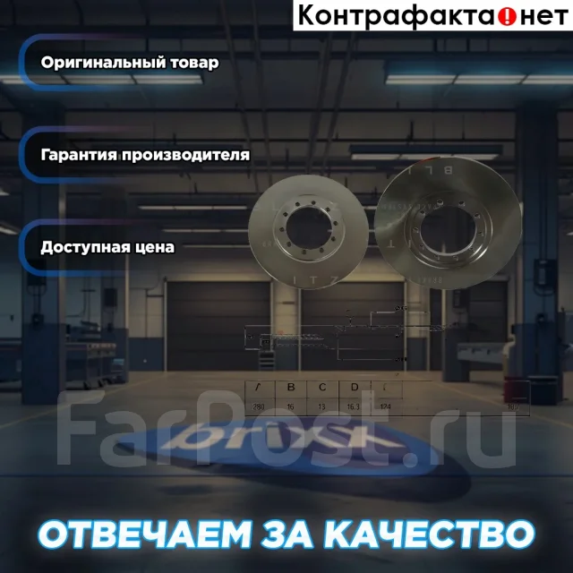 ���� ��������� | ��� | Blitz ���. BS0262 BS0262 ����