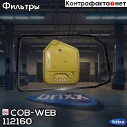 ������ ���� � ��������� ���������� ������� COB-WEB 112160 (SF216/072160) COB-WEB ���. 112160 112160 ����