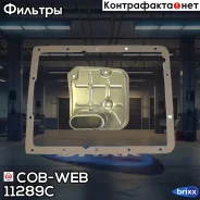 ������ ���� � ��������� ���������� ������� COB-WEB 11289C (SF289C/071080) COB-WEB ���. 11289C 11289C ����