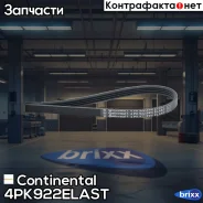 ������ ������������ Continental ���. 4PK922Elast 4PK922ELAST ����