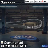 ������ ������������ Continental ���. 6PK1019Elast 6PK1019ELAST ����