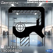 ������� ����������� ���� Corteco ���. 19016488B 19016488B ����