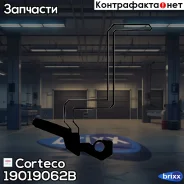 ������� ������� ������ Corteco ���. 19019062B 19019062B ����