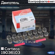 �������� ������������ (��������) Corteco ���. 19036103 19036103 ����