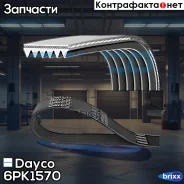 ������ ������������ Dayco ���. 6PK1570 6PK1570 ����
