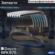 ������ ������������ VW Passat/Sharan 1.6-2.0 93-96 Dayco ���. 6PK975 dayco;6pk975; 6PK975 ����