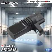 ������ ��������� ��������� Delphi ���. SS10818 SS10818 ����