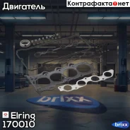 �������� ��������� ��������� Elring ���. 170010 170010 ����
