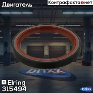 ������� ��������� Elring ���. 315.494 315494 ����