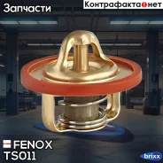 ��������� Fenox ���. TS011 TS011 ����