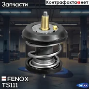 ��������� (+95�C) � �������������� ������� Fenox ���. TS111 TS111 ����