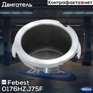 ������� �������� 0176-HZJ75F Febest ���. 0176-HZJ75F 0176HZJ75F ����