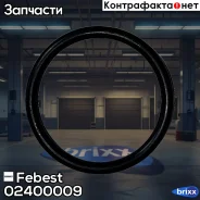 ������ �������������� 23.4X2.5 02400-009 Febest ���. 02400-009 02400009 ����