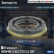 ������� ��������� ���� ����� Mercedes W201-204, W124/210-212 95MES-40701113R Febest ���. 95MES-40701113R 95MES40701113R ����