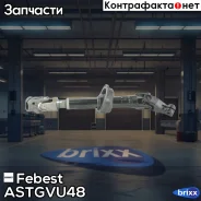 ��� ��������� �������� ������� ������ Febest ���. Astgvu48 ASTGVU48 ����
