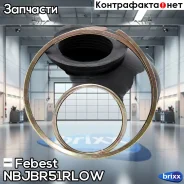������� ������� ����� Nissan Pathfinder (R51) NBJB-R51RLOW Febest ���. NBJB-R51RLOW NBJBR51RLOW ����