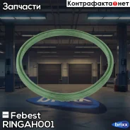 ������ �������������� ���������� �������� Febest ���. Ringah-001 RINGAH001 ����
