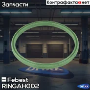 ������ �������������� ���������� �������� Febest ���. Ringah-002 RINGAH002 ����