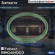 ������ �������������� ���� �������� VW Passat (3C) Ringah-003 Febest ���. Ringah-003 RINGAH003 ����