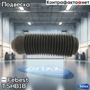 ������� ������������ D18 � ���������� TSHB18 Febest ���. TSHB18 TSHB18 ����
