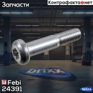 ���� �10* 50 torx (��������) | FEBI | ���. 24391 Febi ���. 24391 24391 ����